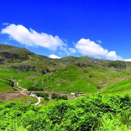 The Mountain - Sawyers *